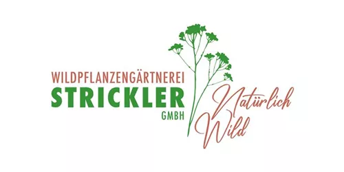 PAK 5.00 Kleintopfstauden für ein Wildblumenbeet*