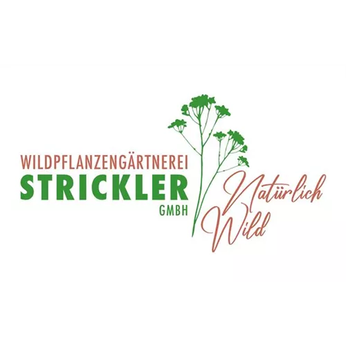PAK 5.00 Kleintopfstauden für ein Wildblumenbeet*