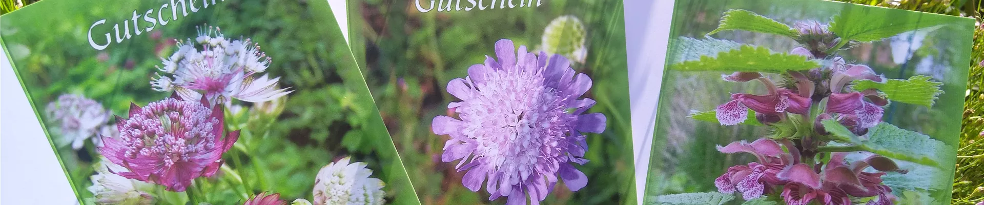 Gutscheine