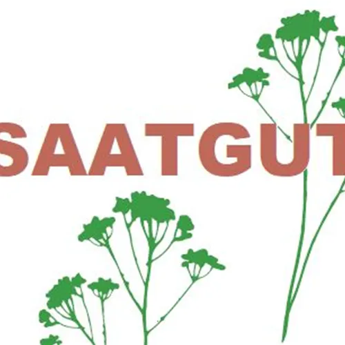 Allium schoenoprasum Wildform (SA 10qm)*