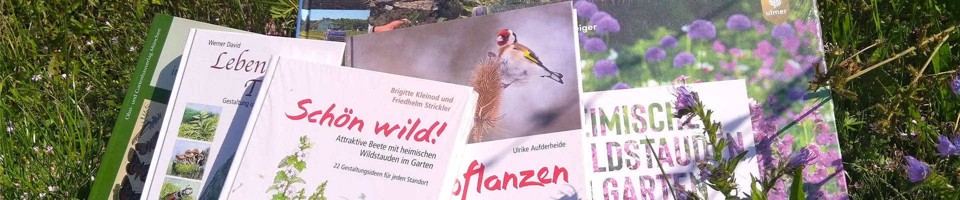 Bücher trapiert (1) für Slider-460-0-3024-3024