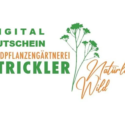Gutscheine DIGITAL
